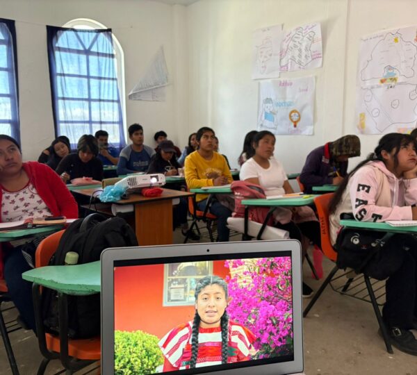 WhatsApp Image 2026-02-02 at 20.55.53