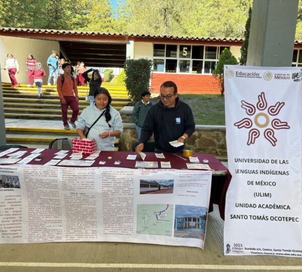 WhatsApp Image 2026-02-02 at 21.13.34